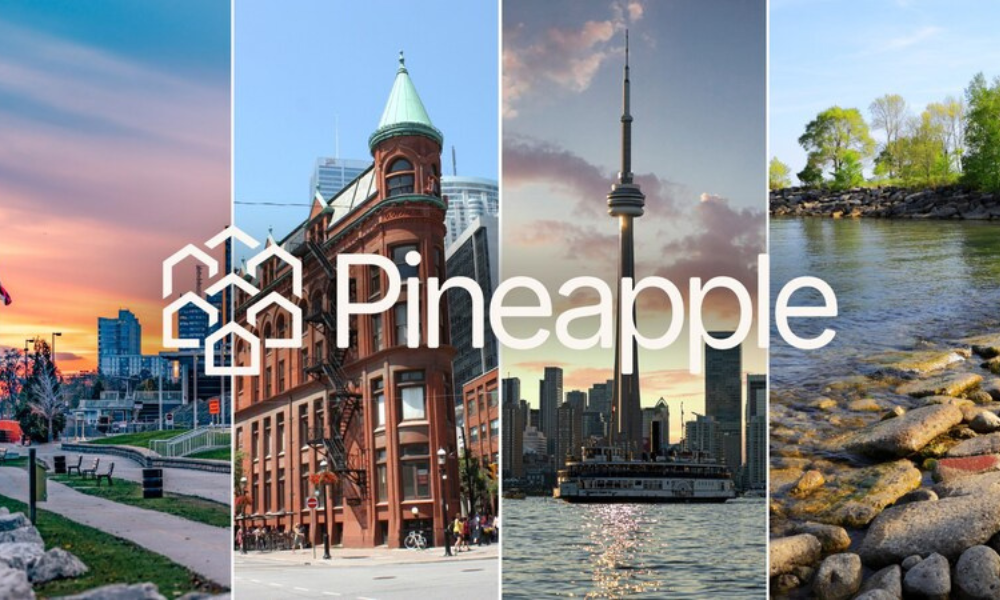 Pineapple brand identity logo system