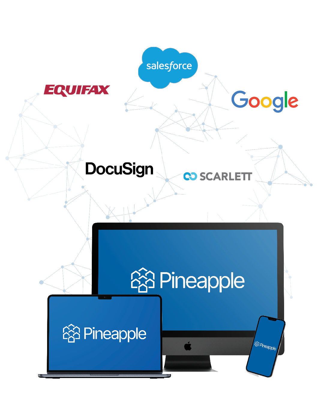 Pineapple multi-device product presentation